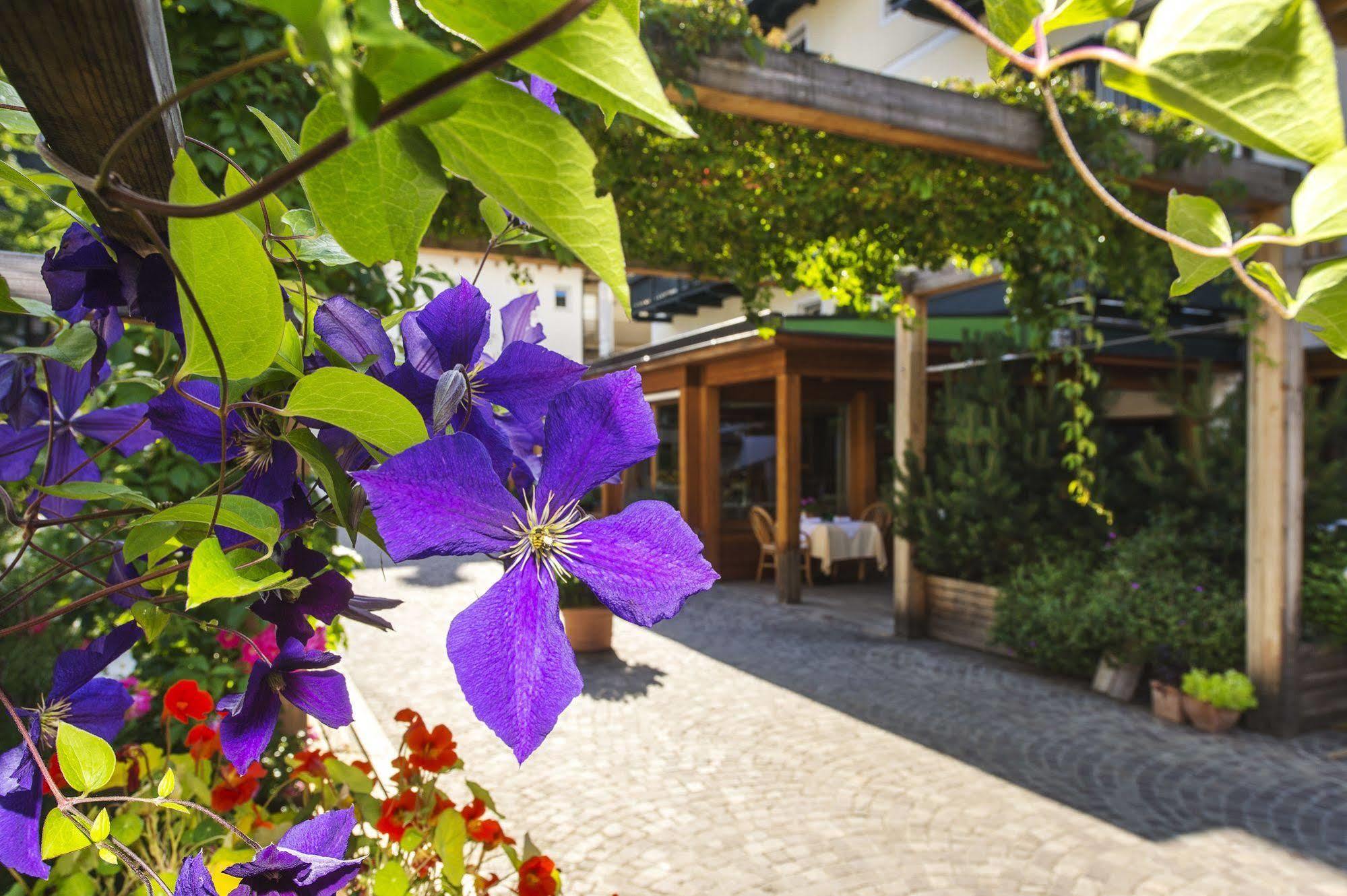 Hotel Drumlerhof 캄포투레스 외부 사진